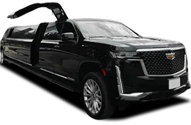 Stretch Limousine 16P